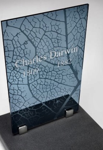 Glazen monument met bladnerfmotief