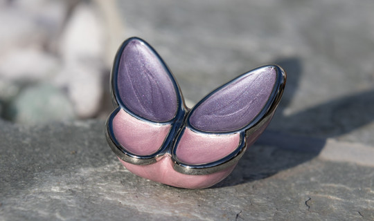 As-Butterfly 